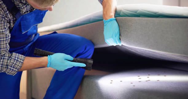 Best Pest Control Near Me in Slippery Rock, PA
