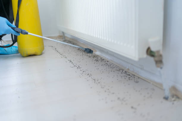 Best Best Pest Control Companies  in Slippery Rock, PA