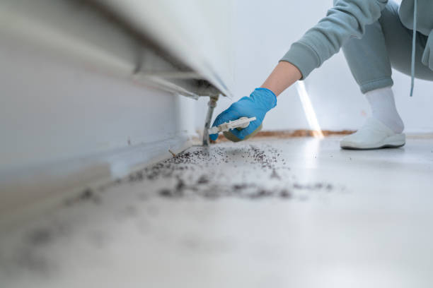 Best Spider Control Near Me  in Slippery Rock, PA